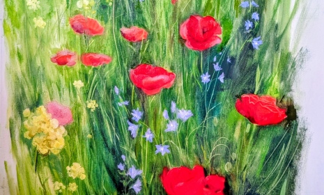 Poppies in Bloom